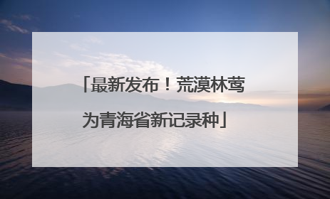 最新发布！荒漠林莺为青海省新记录种