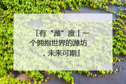 有“潍”度丨一个拥抱世界的潍坊，未来可期