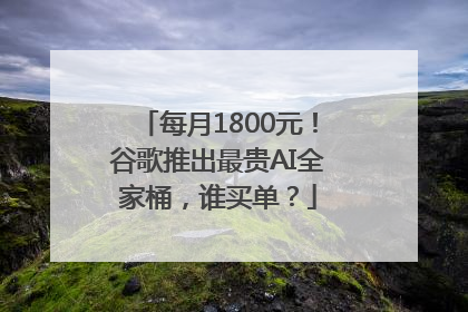 每月1800元！谷歌推出最贵AI全家桶，谁买单？