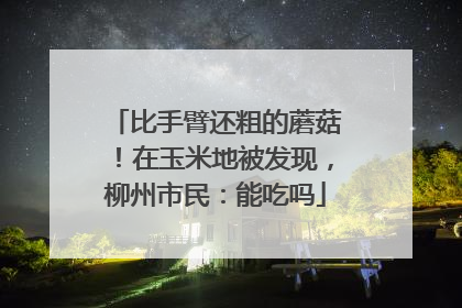 比手臂还粗的蘑菇！在玉米地被发现，柳州市民：能吃吗