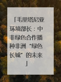 毛里塔尼亚环境部长：中非绿色合作播种非洲“绿色长城”的未来