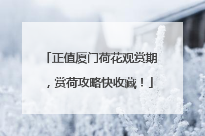 正值厦门荷花观赏期，赏荷攻略快收藏！
