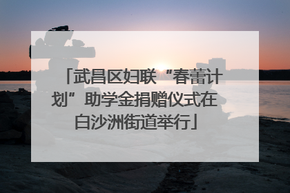 武昌区妇联“春蕾计划”助学金捐赠仪式在白沙洲街道举行