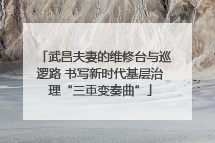 武昌夫妻的维修台与巡逻路 书写新时代基层治理“三重变奏曲”