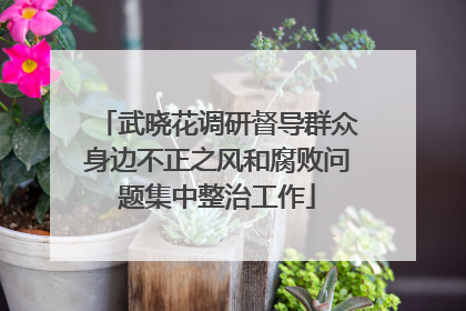 武晓花调研督导群众身边不正之风和腐败问题集中整治工作