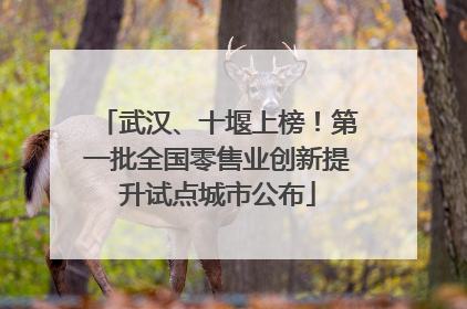 武汉、十堰上榜！第一批全国零售业创新提升试点城市公布