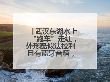 武汉东湖水上“跑车”走红，外形酷似法拉利且有蓝牙音箱，负责人：高峰期一两百人排队