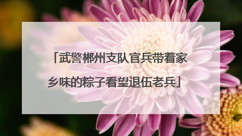 武警郴州支队官兵带着家乡味的粽子看望退伍老兵