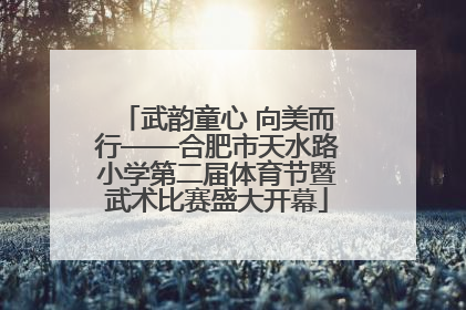 武韵童心 向美而行——合肥市天水路小学第二届体育节暨武术比赛盛大开幕