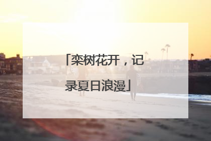 栾树花开，记录夏日浪漫