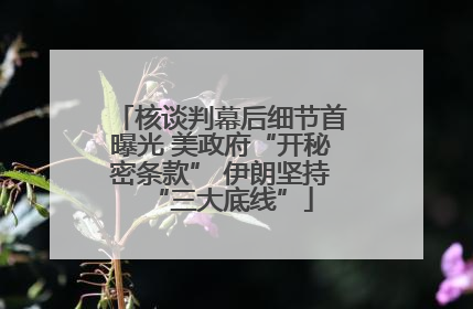 核谈判幕后细节首曝光 美政府“开秘密条款” 伊朗坚持“三大底线”