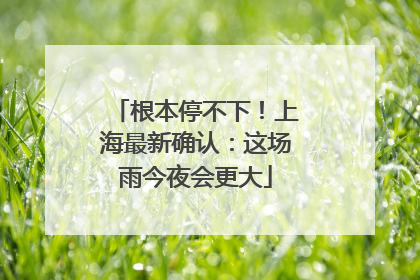 根本停不下！上海最新确认：这场雨今夜会更大