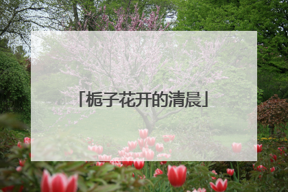 栀子花开的清晨