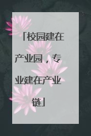 校园建在产业园，专业建在产业链