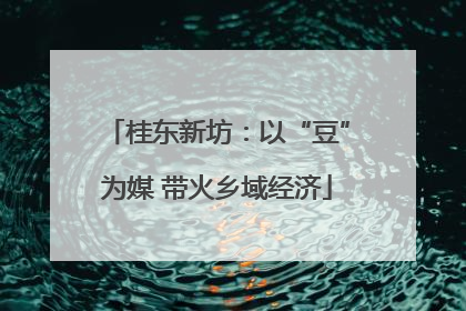 桂东新坊：以“豆”为媒 带火乡域经济