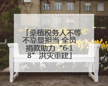 桑植税务人不等不靠显担当 全员捐款助力“6·18”洪灾重建