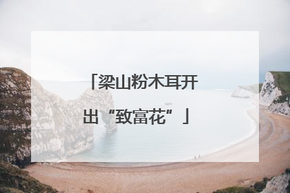 梁山粉木耳开出“致富花”