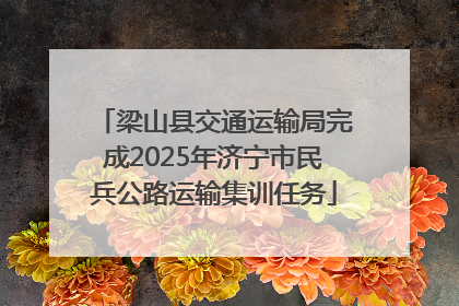 梁山县交通运输局完成2025年济宁市民兵公路运输集训任务
