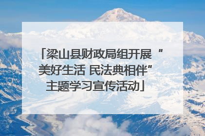 梁山县财政局组开展“美好生活 民法典相伴”主题学习宣传活动