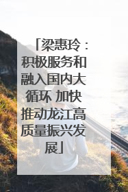 梁惠玲：积极服务和融入国内大循环 加快推动龙江高质量振兴发展