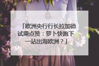 欧洲央行行长拉加德试乘点赞：萝卜快跑下一站出海欧洲？
