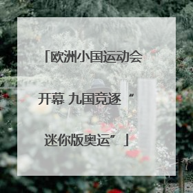 欧洲小国运动会开幕 九国竞逐“迷你版奥运”