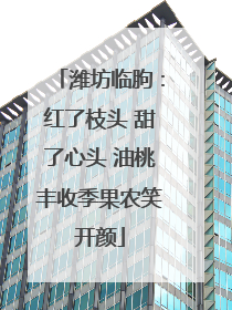 潍坊临朐：红了枝头 甜了心头 油桃丰收季果农笑开颜