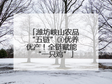 潍坊峡山农品“五链”③优养优产！全链赋能“一只鸡”