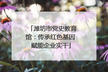 潍坊市党史教育馆：传承红色基因 赋能企业实干