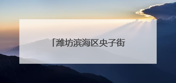 潍坊滨海区央子街道多措并举全力护航粮食丰产丰收