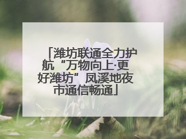 潍坊联通全力护航“万物向上·更好潍坊”凤溪地夜市通信畅通