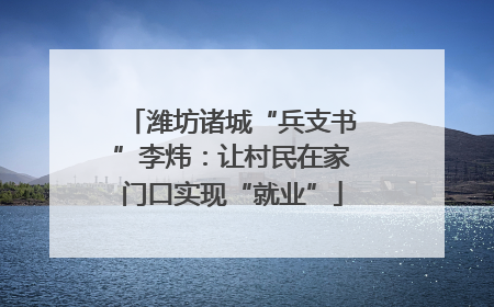 潍坊诸城“兵支书”李炜：让村民在家门口实现“就业”