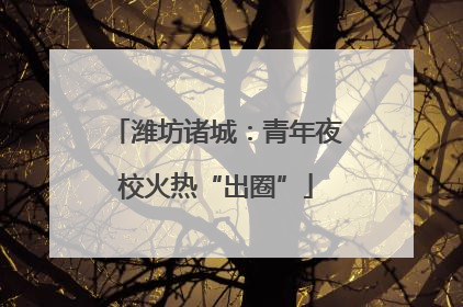 潍坊诸城：青年夜校火热“出圈”