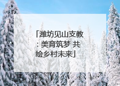 潍坊见山支教：美育筑梦 共绘乡村未来