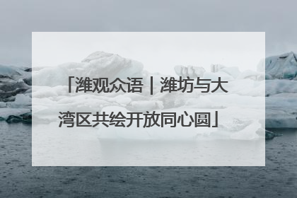 潍观众语｜潍坊与大湾区共绘开放同心圆
