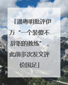 潘粤明批评伊万“一个装傻不辞职的教练”，此前多次发文评价国足