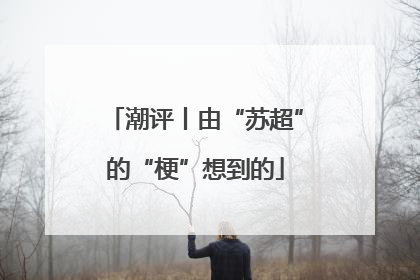 潮评丨由“苏超”的“梗”想到的