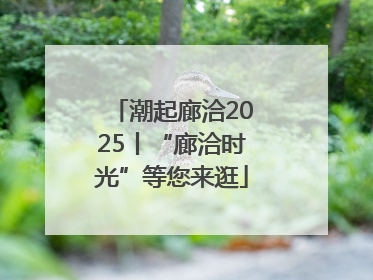 潮起廊洽2025丨“廊洽时光”等您来逛