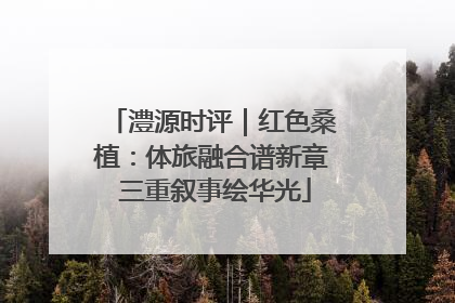 澧源时评｜红色桑植：体旅融合谱新章 三重叙事绘华光