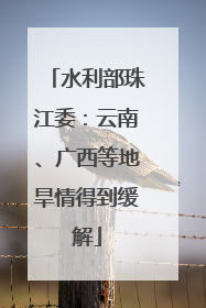 水利部珠江委：云南、广西等地旱情得到缓解