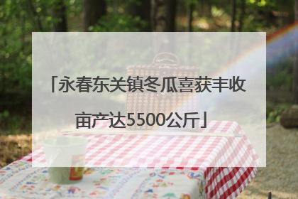 永春东关镇冬瓜喜获丰收 亩产达5500公斤