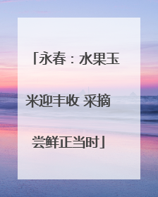 永春：水果玉米迎丰收 采摘尝鲜正当时