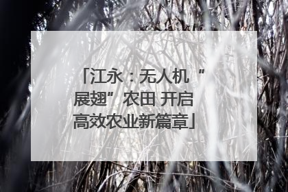 江永：无人机“展翅”农田 开启高效农业新篇章