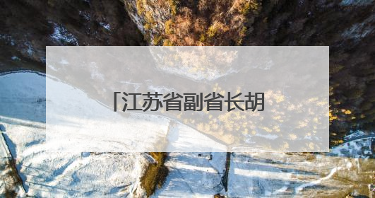 江苏省副省长胡彬郴，分工明确