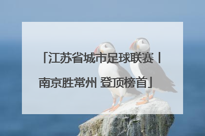 江苏省城市足球联赛丨南京胜常州 登顶榜首