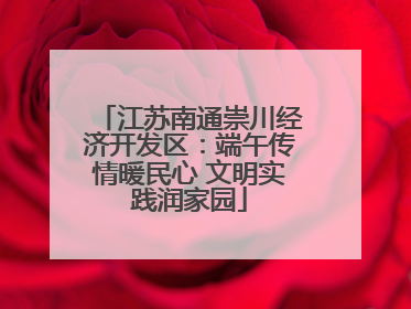 江苏南通崇川经济开发区：端午传情暖民心 文明实践润家园