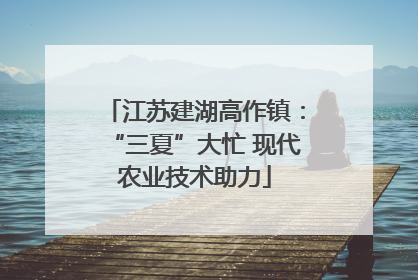 江苏建湖高作镇：“三夏”大忙 现代农业技术助力