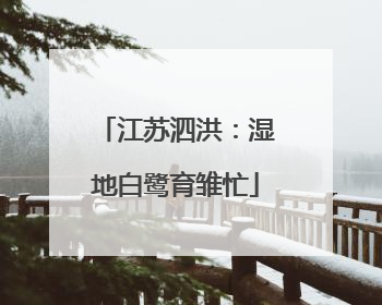 江苏泗洪：湿地白鹭育雏忙