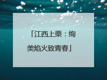 江西上栗：绚美焰火致青春
