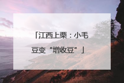 江西上栗：小毛豆变“增收豆”